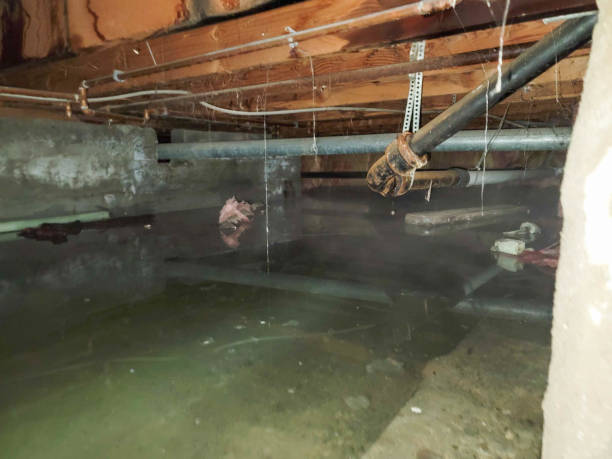 Best Water damage cleanup near me  in Washington, KS