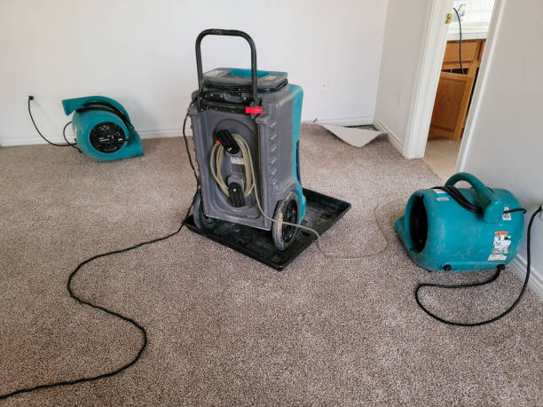 Best Carpet water damage restoration  in Washington, KS