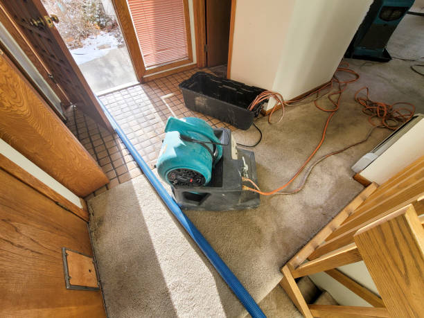 Best Water damage restoration near me  in Washington, KS