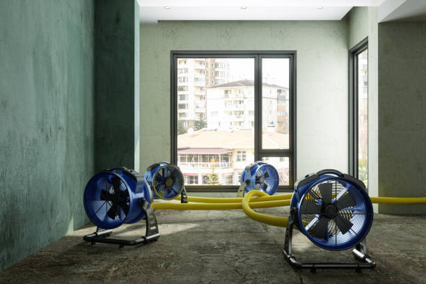 Best 24-hour water damage restoration  in Washington, KS
